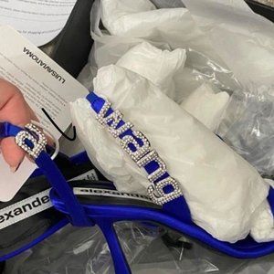 Alexander Wang IVY Satin Heels